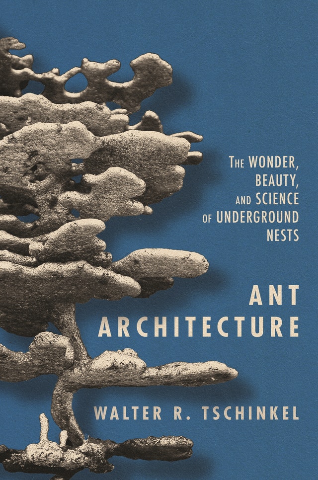 ANT ARCHITECTURE THE WONDER, BEAUTY, AND SCIENCE OF UNDERGROUND NESTS