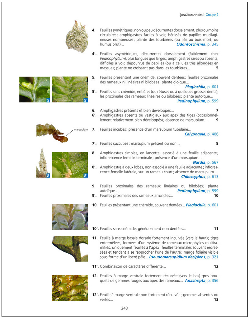 LES BRYOPHYTES DE FRANCE TOME 1. ANTHOCÉROTES ET HÉPATIQUES 5