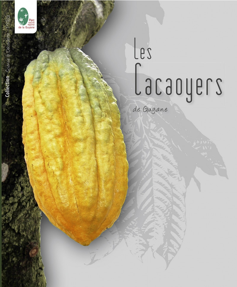 LES CACAOYERS DE GUYANE