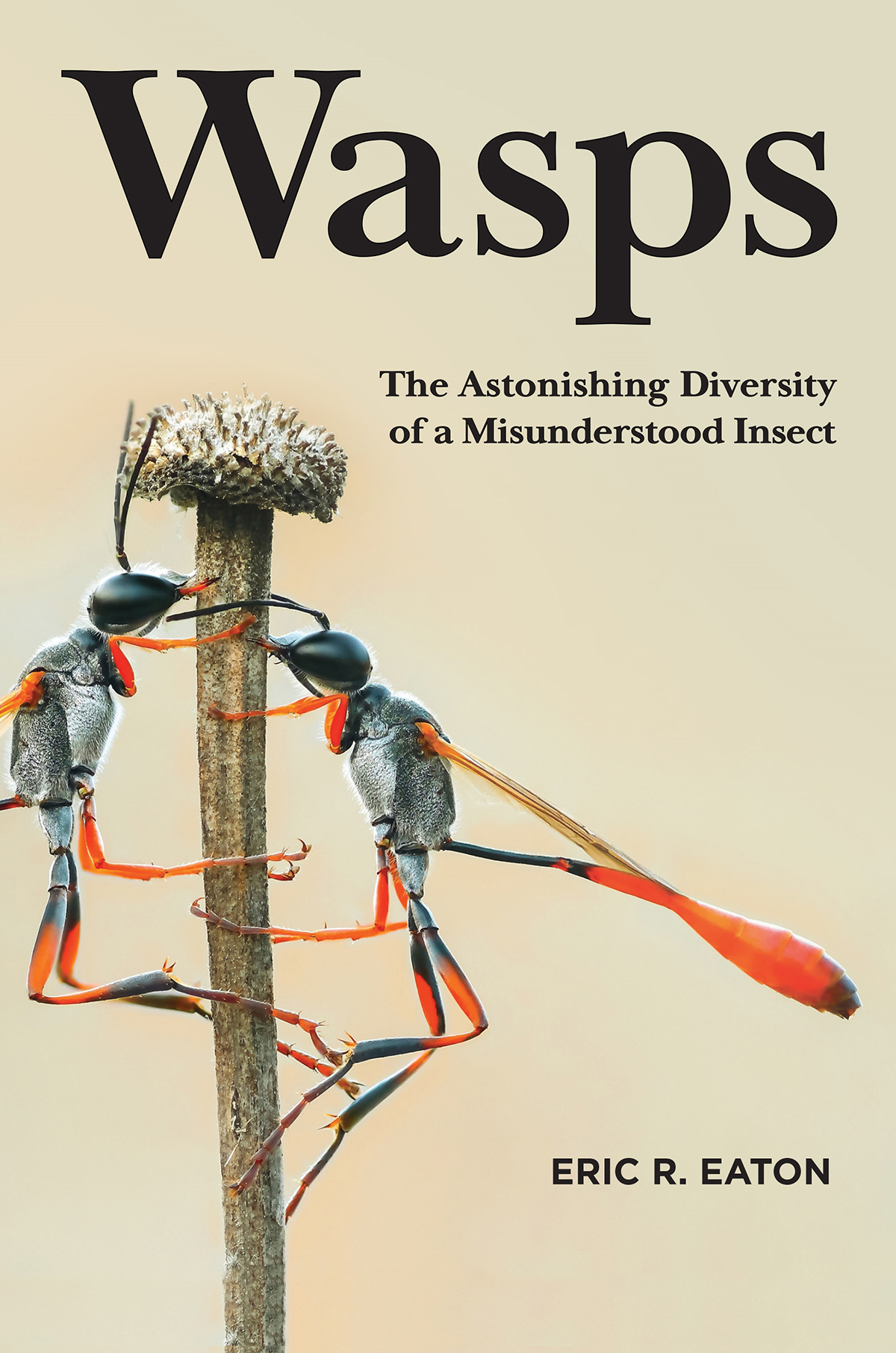 WASPS. THE ASTONISHING DIVERSITY OF A MISUNDERSTOOD INSECT 1