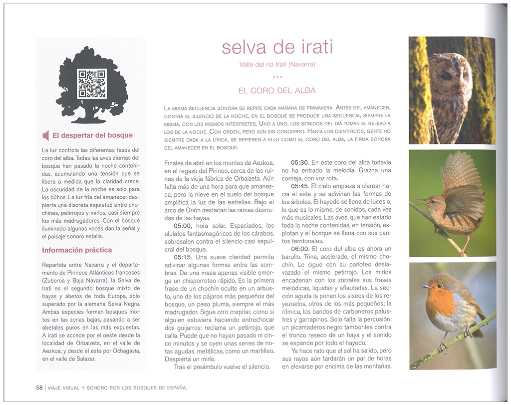 VIAJE VISUAL Y SONORO POR LOS BOSQUES DE ESPAÑA 2