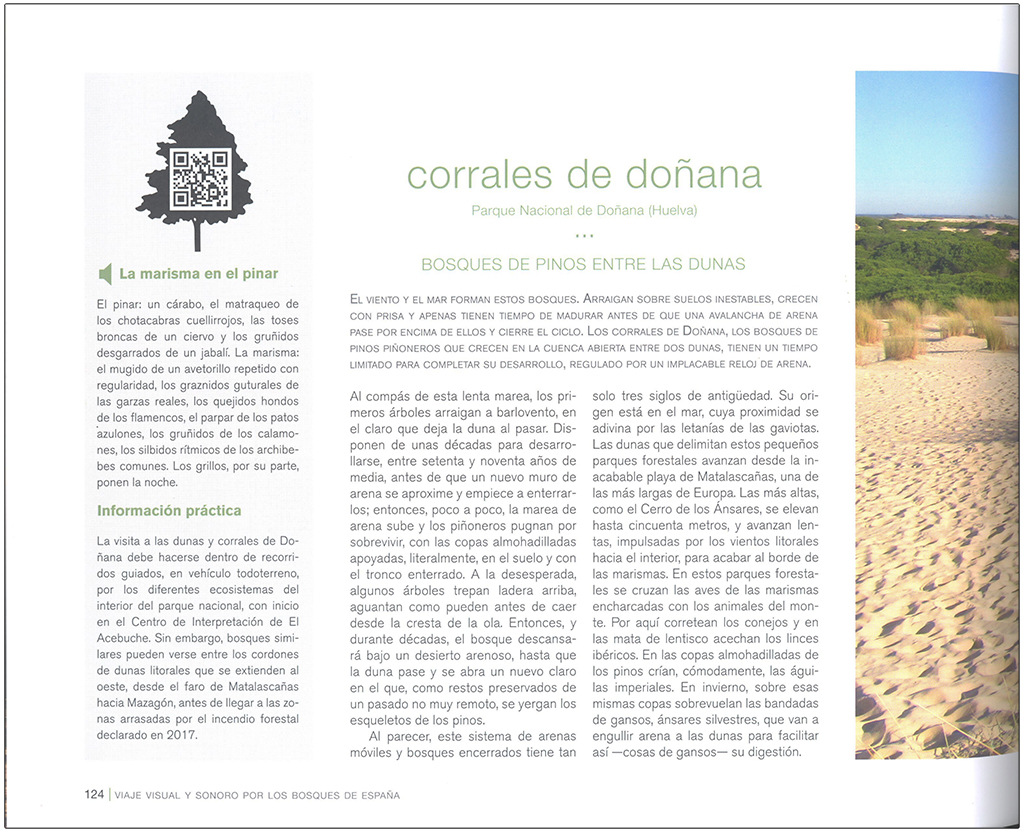 VIAJE VISUAL Y SONORO POR LOS BOSQUES DE ESPAÑA 3