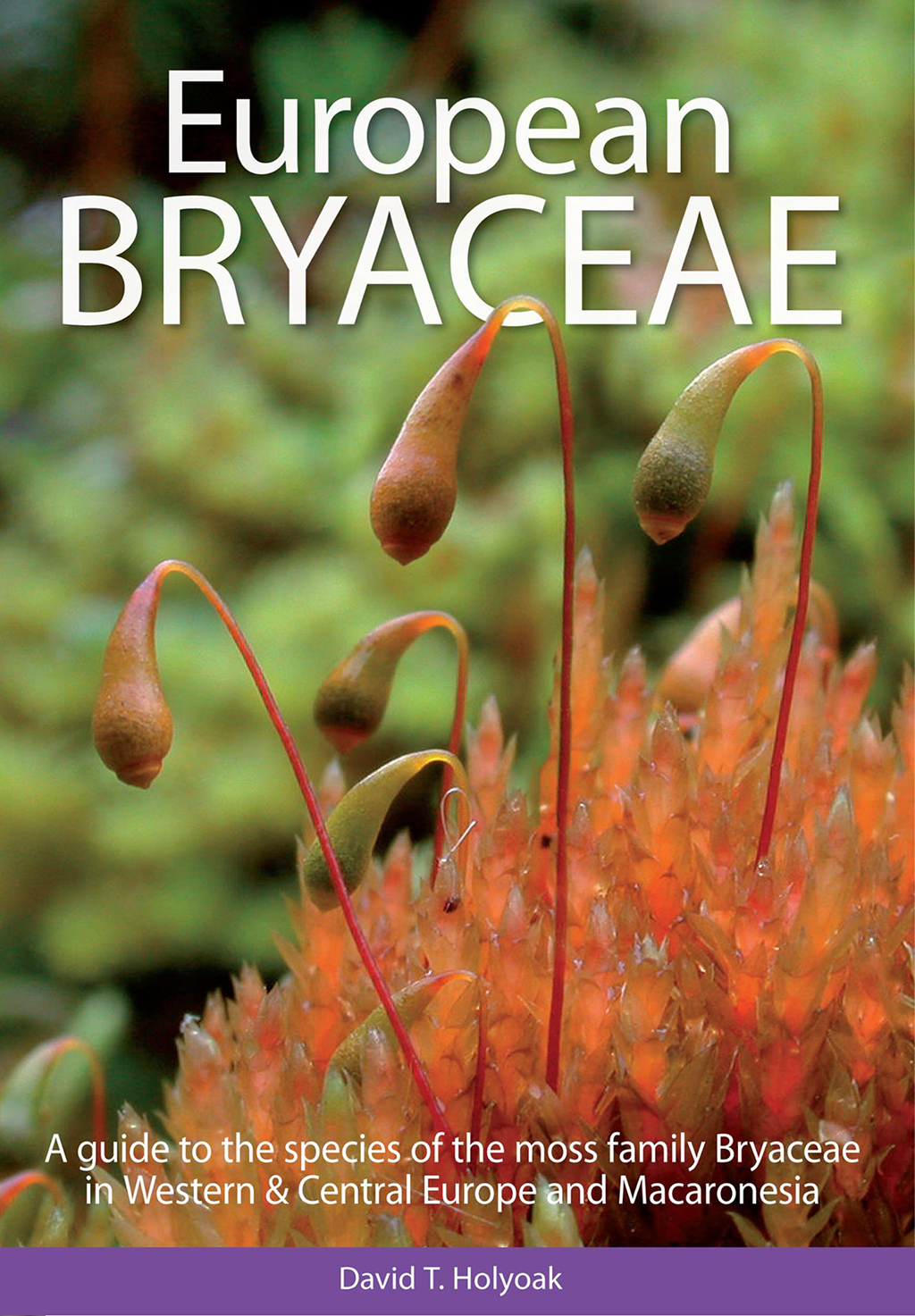 EUROPEAN BRYACEAE. A GUIDE TO THE SPECIES OF THE MOSS FAMILY BRYACEAE IN WESTERN & CENTRAL EUROPE AND MACARONESIA