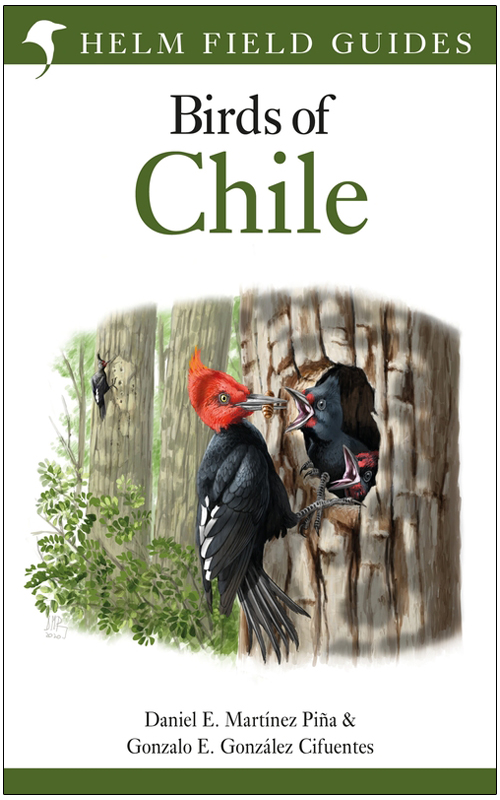 HELM FIELD GUIDES. BIRDS OF CHILE 1