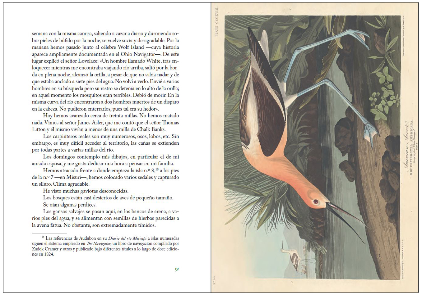 DIARIO DEL RÍO MISISIPI 3