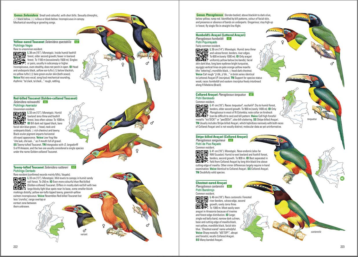 BIRDS OF COLOMBIA 7