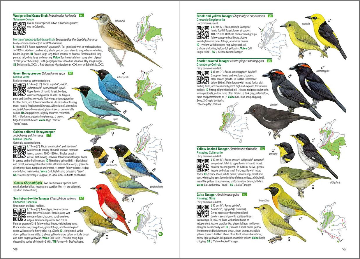 BIRDS OF COLOMBIA 4