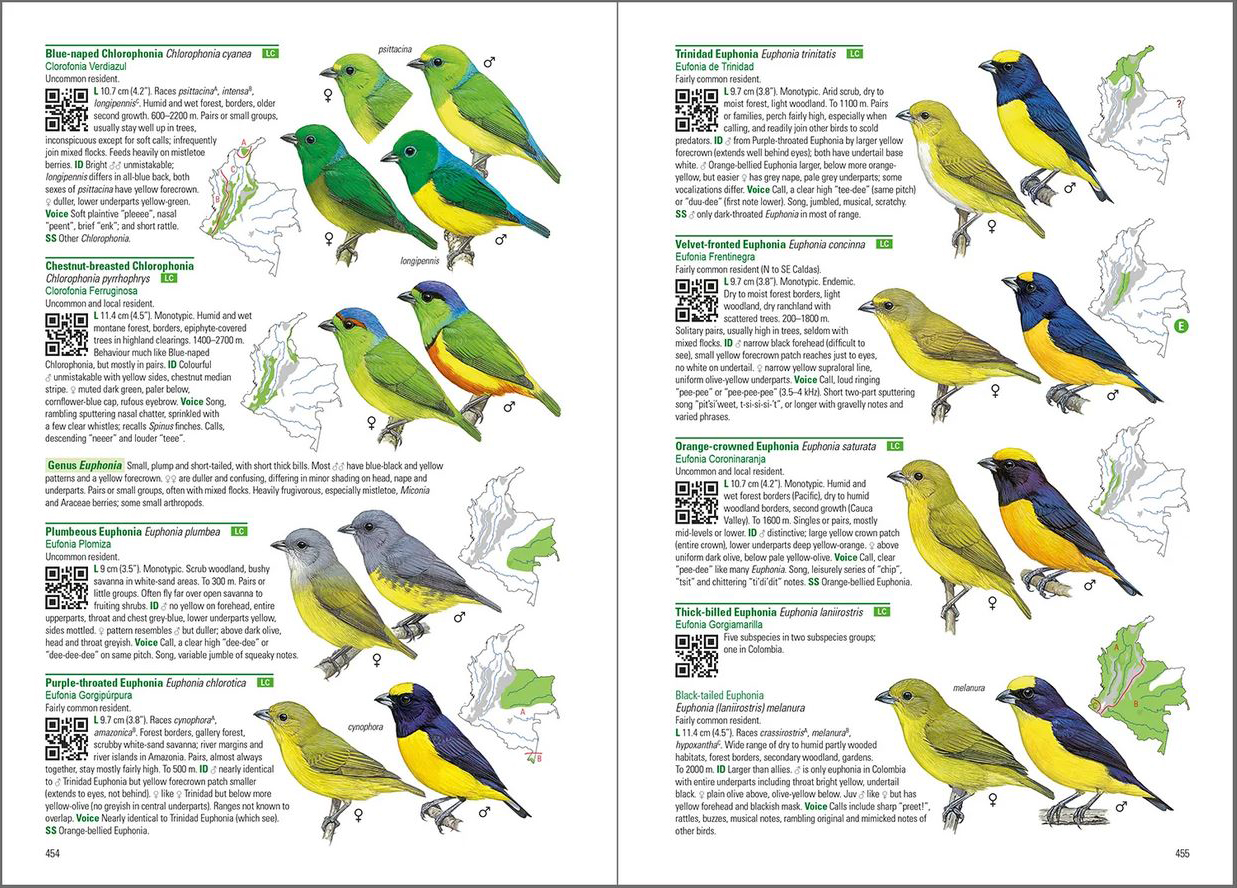 BIRDS OF COLOMBIA 6