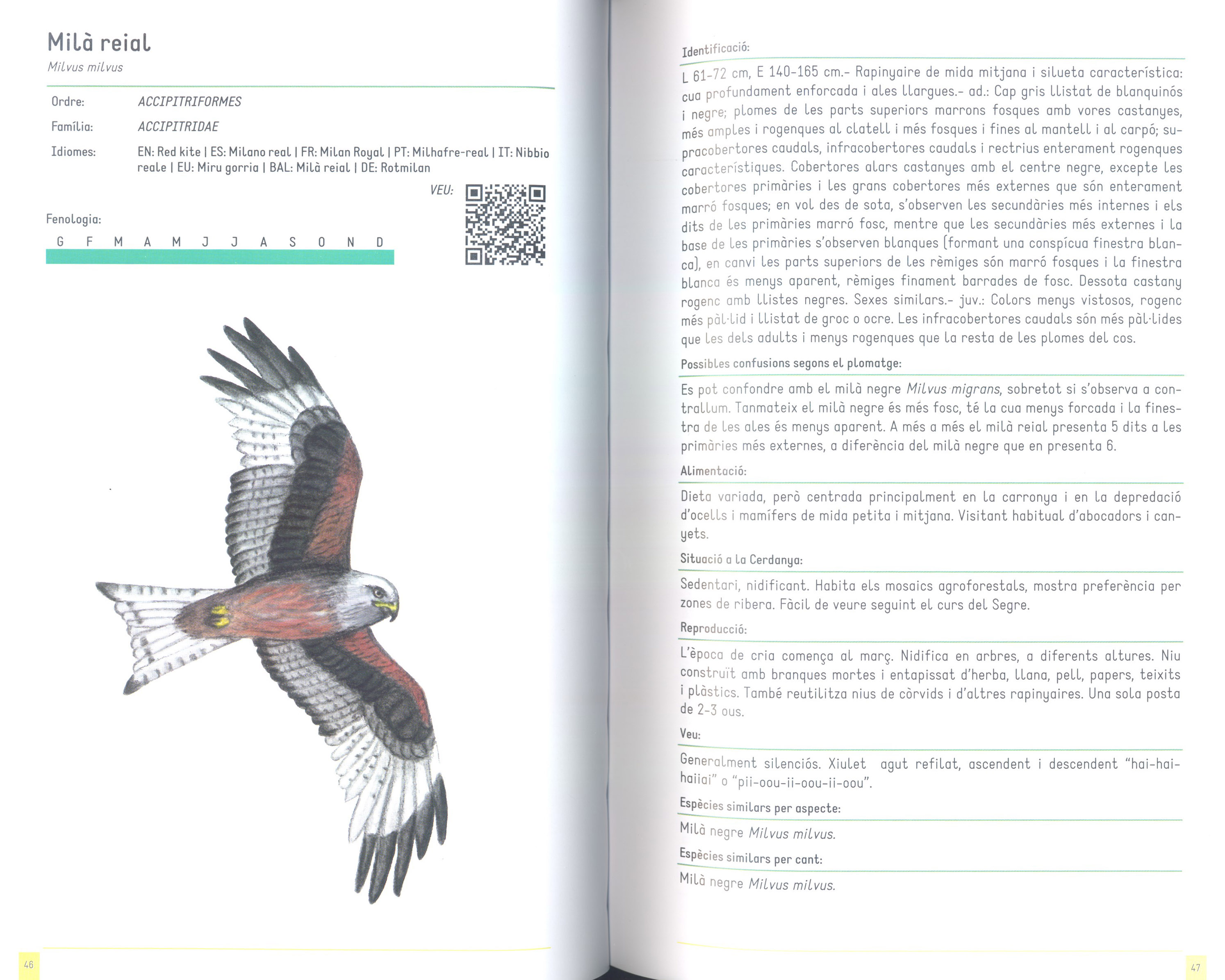 GUIA D'OCELLS DE LA CERDANYA 2