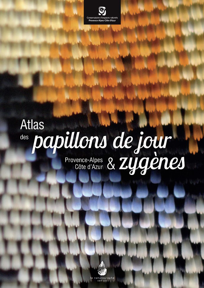 ATLAS DES PAPILLONS DE JOUR & ZYGÈNES - PROVENCE-ALPES CÔTE D'AZUR 1