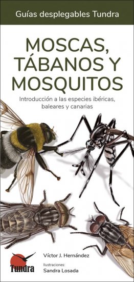 MOSCAS, TÁBANOS Y MOSQUITOS. INTRODUCCIÓN A LAS ESPECIES IBÉRICAS, BALEARES Y CANARIAS. GUÍAS DESPLEGABLES TUNDRA