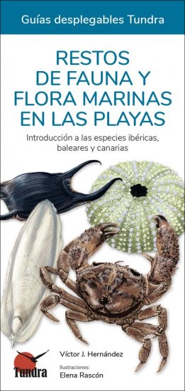RESTOS DE FAUNA Y FLORA MARINAS EN LAS PLAYAS. INTRODUCCIÓN A LAS ESPECIES IBÉRICAS, BALEARES Y CANARIAS. GUÍAS DESPLEGABLES TUNDRA 1