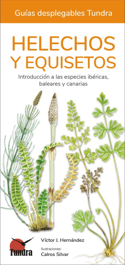 HELECHOS, EQUISETOS Y LICOPODIOS. INTRODUCCIÓN A LAS ESPECIES IBÉRICAS, BALEARES Y CANARIAS. GUÍAS DESPLEGABLES TUNDRA 1