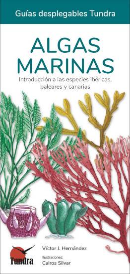 ALGAS MARINAS. INTRODUCCIÓN A LAS ESPECIES IBÉRICAS, BALEARES Y CANARIAS. GUÍAS DESPLEGABLES TUNDRA