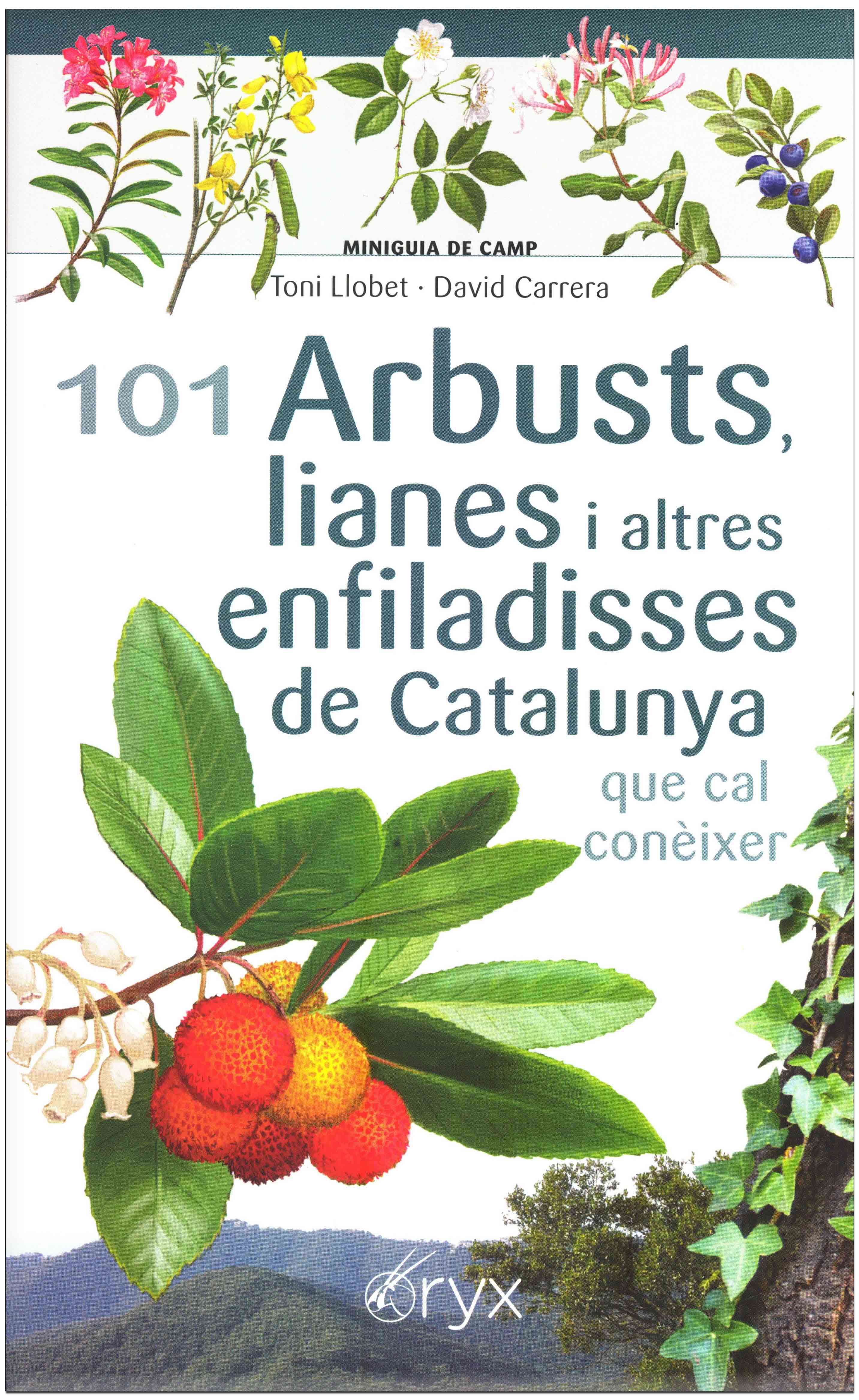 101 ARBUSTS, LIANES I ALTRES ENFILADISSES DE CATALUNYA QUE CAL CONÈIXER. MINIGUIA DE CAMP 1