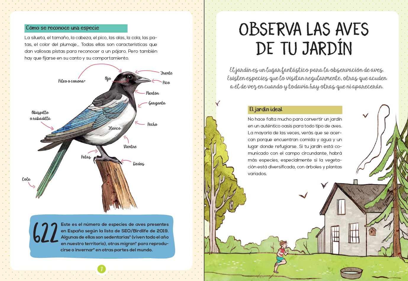 MI PEQUEÑA GUÍA DE LA NATURALEZA. LAS AVES. OBSERVARLAS. COMPRENDERLAS. PROTEGERLAS. 2