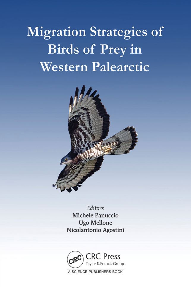 MIGRATION STRATEGIES OF BIRDS OF PREY IN WESTERN PALEARTIC