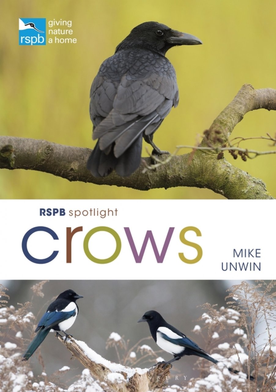 RSPB SPOTLIGHT. CROWS 1