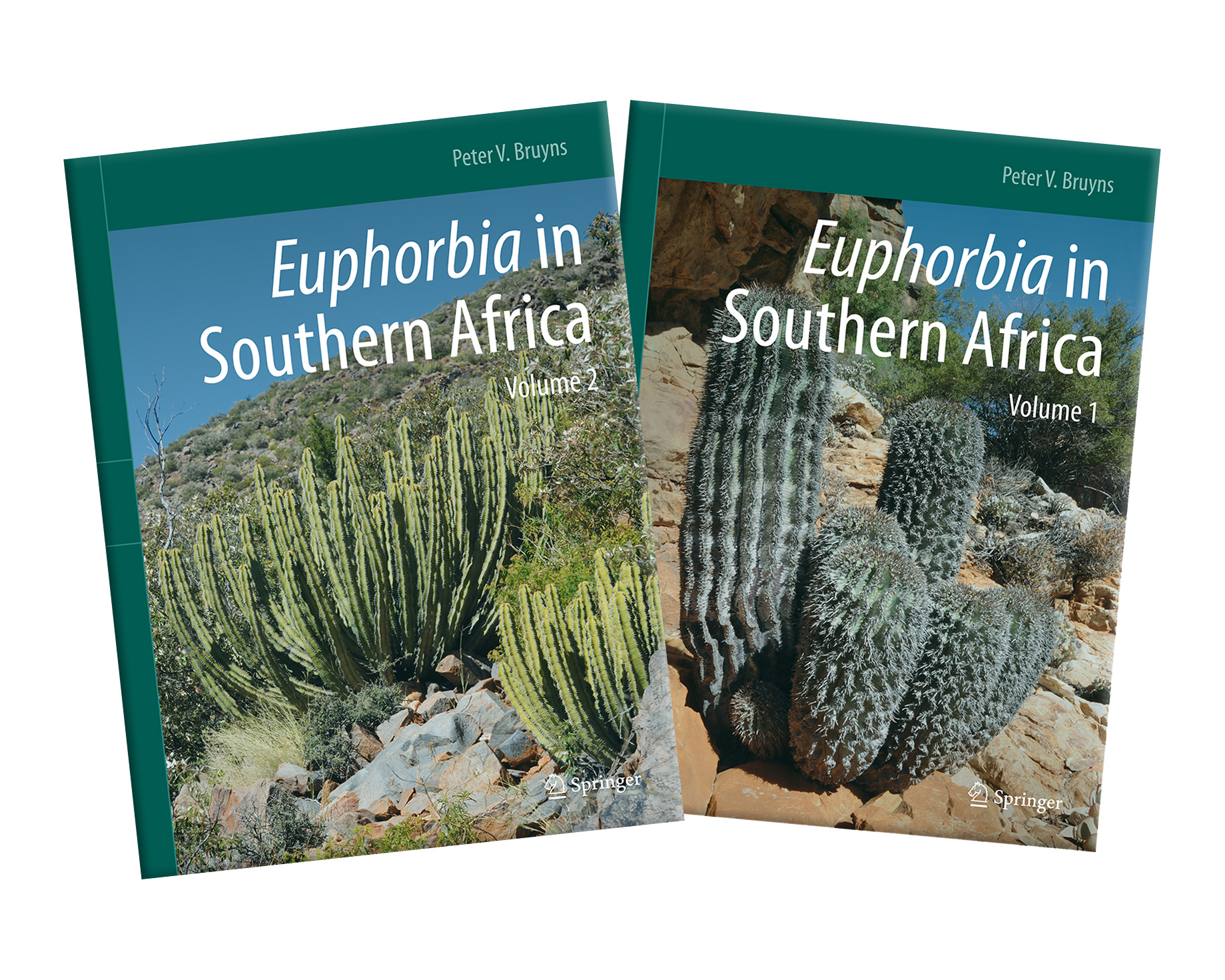 EUPHORBIA IN SOUTHERN AFRICA (2 VOLUME SET)