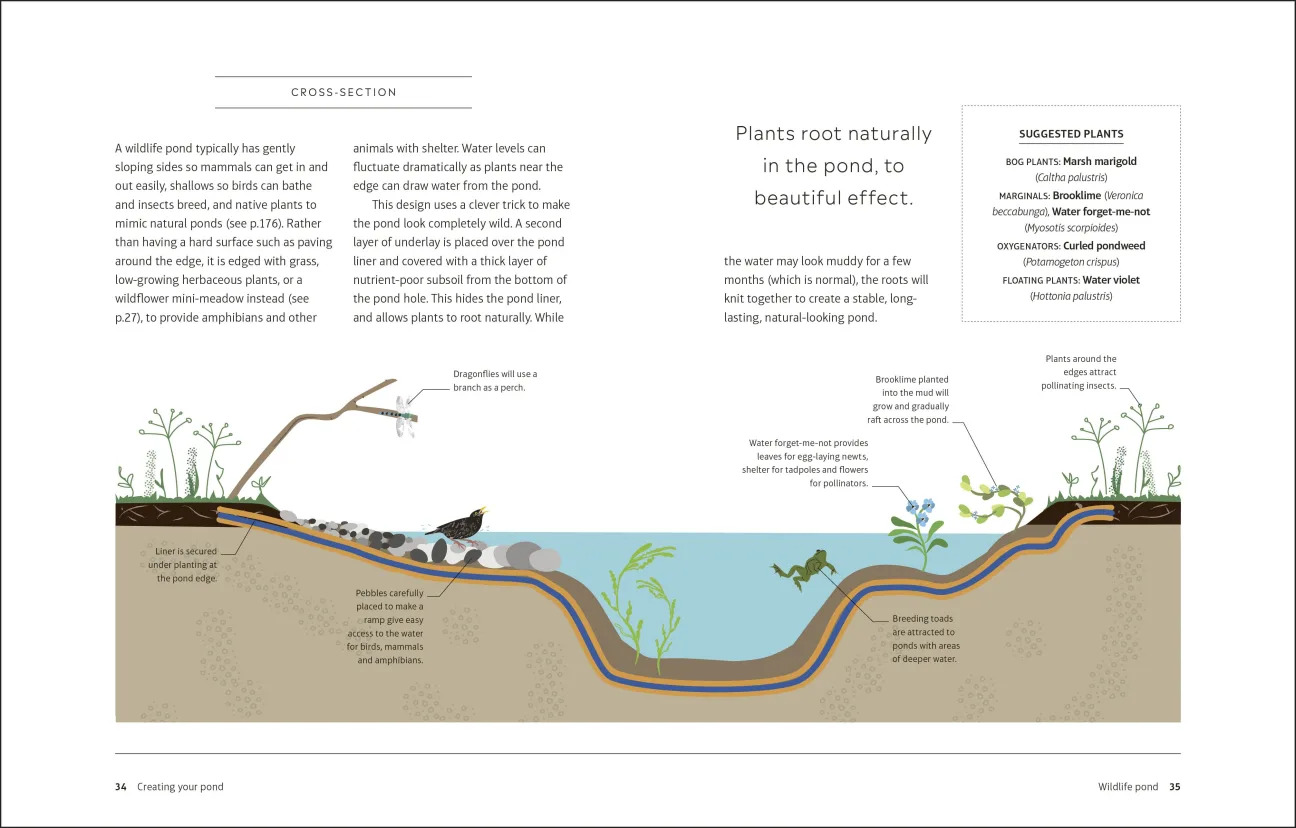RHS HOW TO CREATE  A WILDLIFE POND. PLAN, DIG AND ENJOY A NATURAL POND IN YOUR OWN BACK GARDEN 4