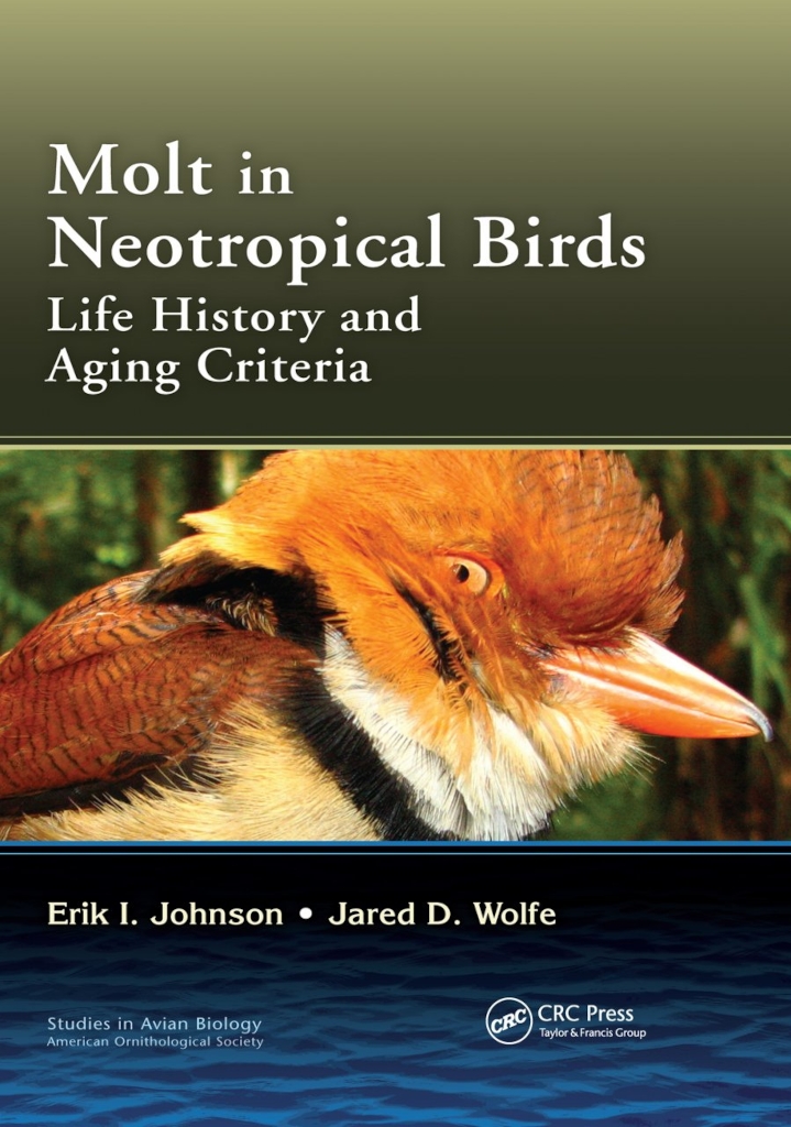 MOLT IN NEOTROPICAL BIRDS LIFE HISTORY AND AGEING CRITERIA