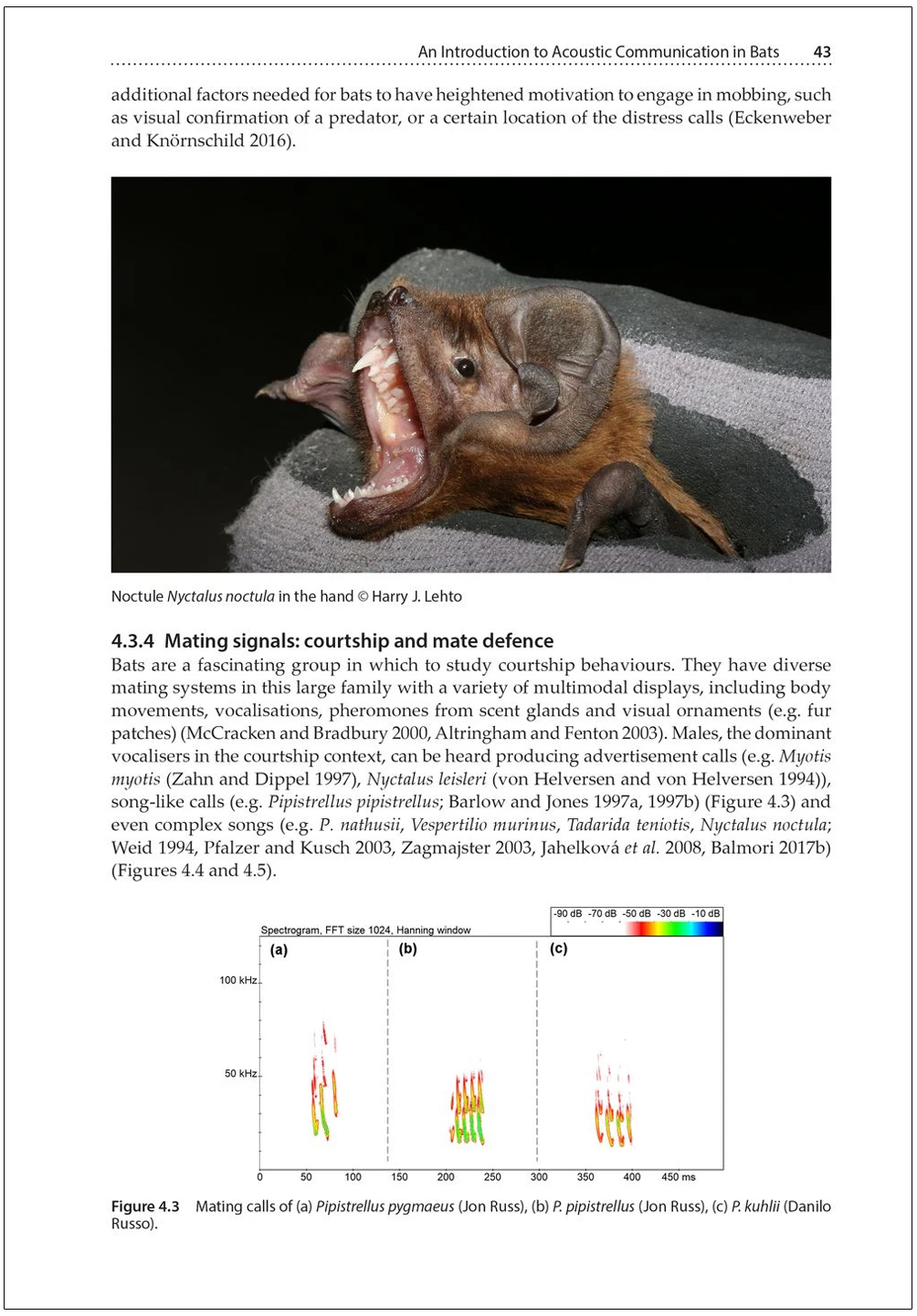 BAT CALLS OF BRITAIN AND EUROPE. A GUIDE TO SPECIES IDENTIFICATION 2
