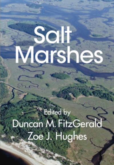 SALT MARSHES: FUNCTION, DYNAMICS, AND STRESSES 1