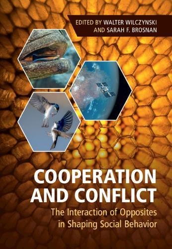 COOPERATION AND CONFLICT. THE INTERACTION OF OPPOSITES IN SHAPING SOCIAL BEHAVIOR