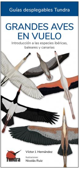 GRANDES AVES EN VUELO. INTRODUCCIÓN A LAS ESPECIES IBÉRICAS, BALEARES Y CANARIAS. GUÍAS DESPLEGABLES TUNDRA 1