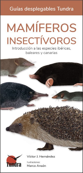 MAMÍFEROS INSECTÍVOROS. INTRODUCCIÓN A LAS ESPECIES IBÉRICAS, BALEARES Y CANARIAS. GUÍAS DESPLEGABLES TUNDRA
