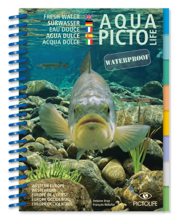 AQUA PICTOLIFE. AGUA DULCE - FRESH WATER - EAU DOUCE 1