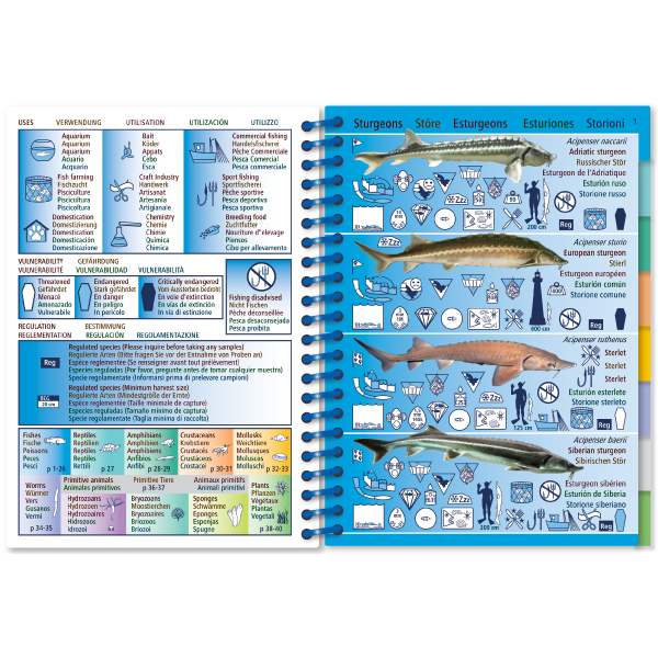 AQUA PICTOLIFE. AGUA DULCE - FRESH WATER - EAU DOUCE 3