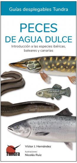PECES DE AGUA DULCE. INTRODUCCIÓN A LAS ESPECIES IBÉRICAS, BALEARES Y CANARIAS. GUÍAS DESPLEGABLES TUNDRA 1