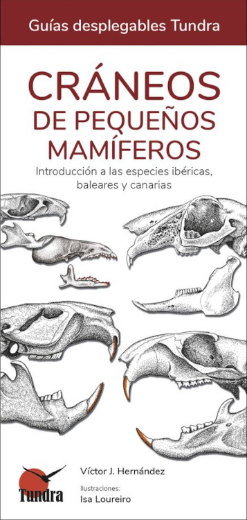 CRÁNEOS DE PEQUEÑOS MAMÍFEROS. INTRODUCCIÓN A LAS ESPECIES IBÉRICAS, BALEARES Y CANARIAS. GUÍAS DESPLEGABLES TUNDRA 1