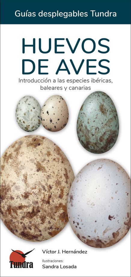 HUEVOS DE AVES. INTRODUCCIÓN A LAS ESPECIES IBÉRICAS, BALEARES Y CANARIAS. GUÍAS DESPLEGABLES TUNDRA 1