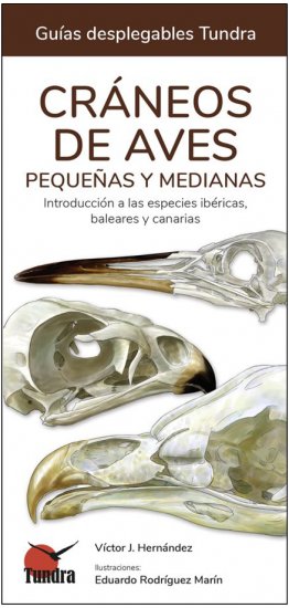 CRÁNEOS DE AVES PEQUEÑAS Y MEDIANAS. INTRODUCCIÓN A LAS ESPECIES IBÉRICAS, BALEARES Y CANARIAS. GUÍAS DESPLEGABLES TUNDRA 1
