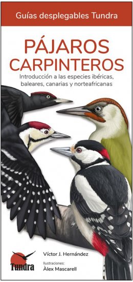 PÁJAROS CARPINTEROS. INTRODUCCIÓN A LAS ESPECIES IBÉRICAS, BALEARES, CANARIAS Y NORTEAFRICANAS. GUÍAS DESPLEGABLES TUNDRA 1