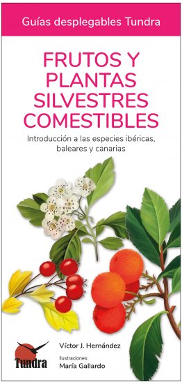 FRUTOS Y PLANTAS SILVESTRES COMESTIBLES. INTRODUCCIÓN A LAS ESPECIES IBÉRICAS, BALEARES Y CANARIAS. GUÍAS DESPLEGABLES TUNDRA 1