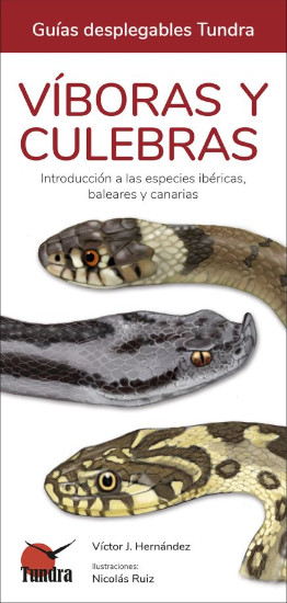 VÍBORAS Y CULEBRAS. INTRODUCCIÓN A LAS ESPECIES IBÉRICAS, BALEARES Y CANARIAS. GUÍAS DESPLEGABLES TUNDRA