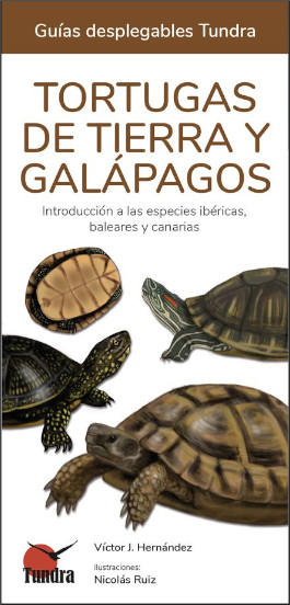 TORTUGAS DE TIERRA Y GALÁPAGOS. INTRODUCCIÓN A LAS ESPECIES IBÉRICAS, BALEARES Y CANARIAS. GUÍAS DESPLEGABLES TUNDRA