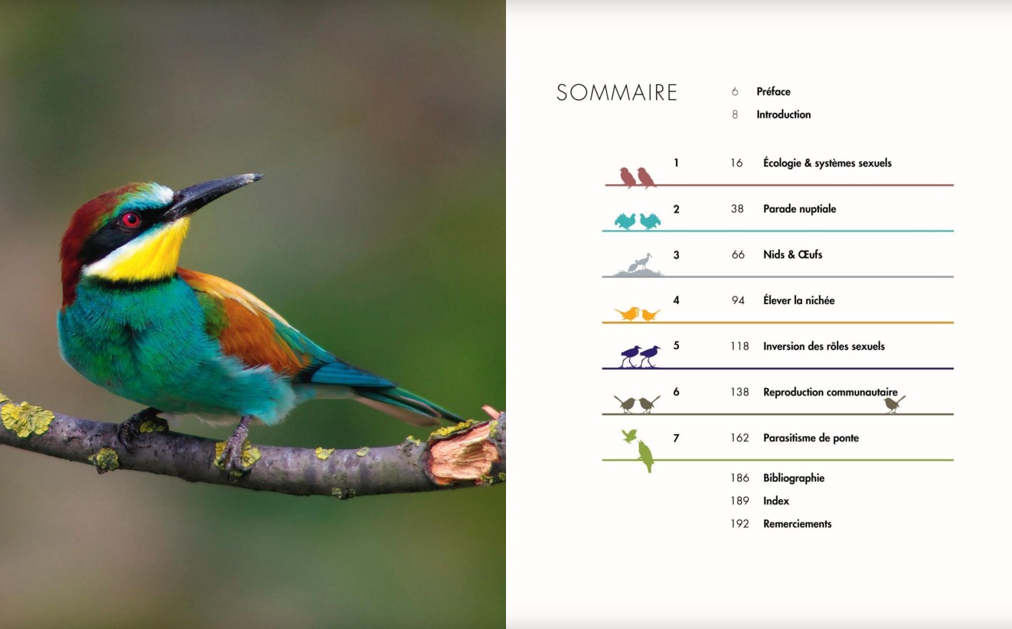 LA VIE AMOUREUSE DES OISEAUX - ETONNANTES STRATEGIES DE REPRODUCTION 2