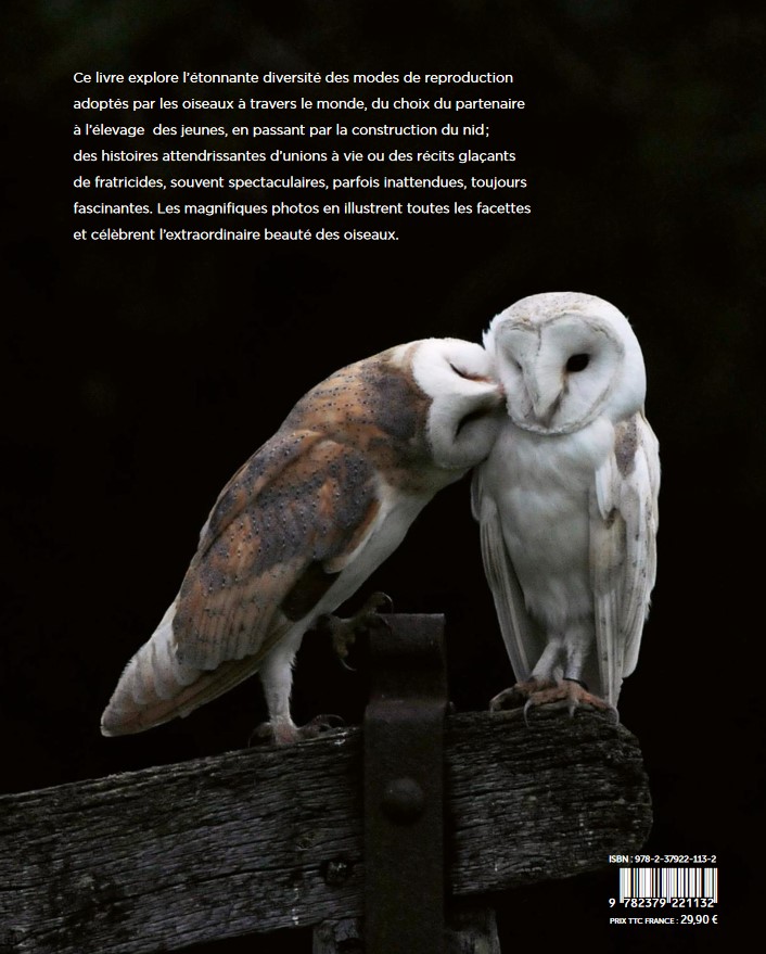 LA VIE AMOUREUSE DES OISEAUX - ETONNANTES STRATEGIES DE REPRODUCTION 6