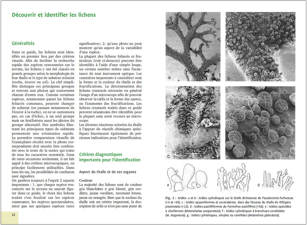 MOUSSES ET LICHENS. 290 ESPECES FACILES A IDENTIFIER 3