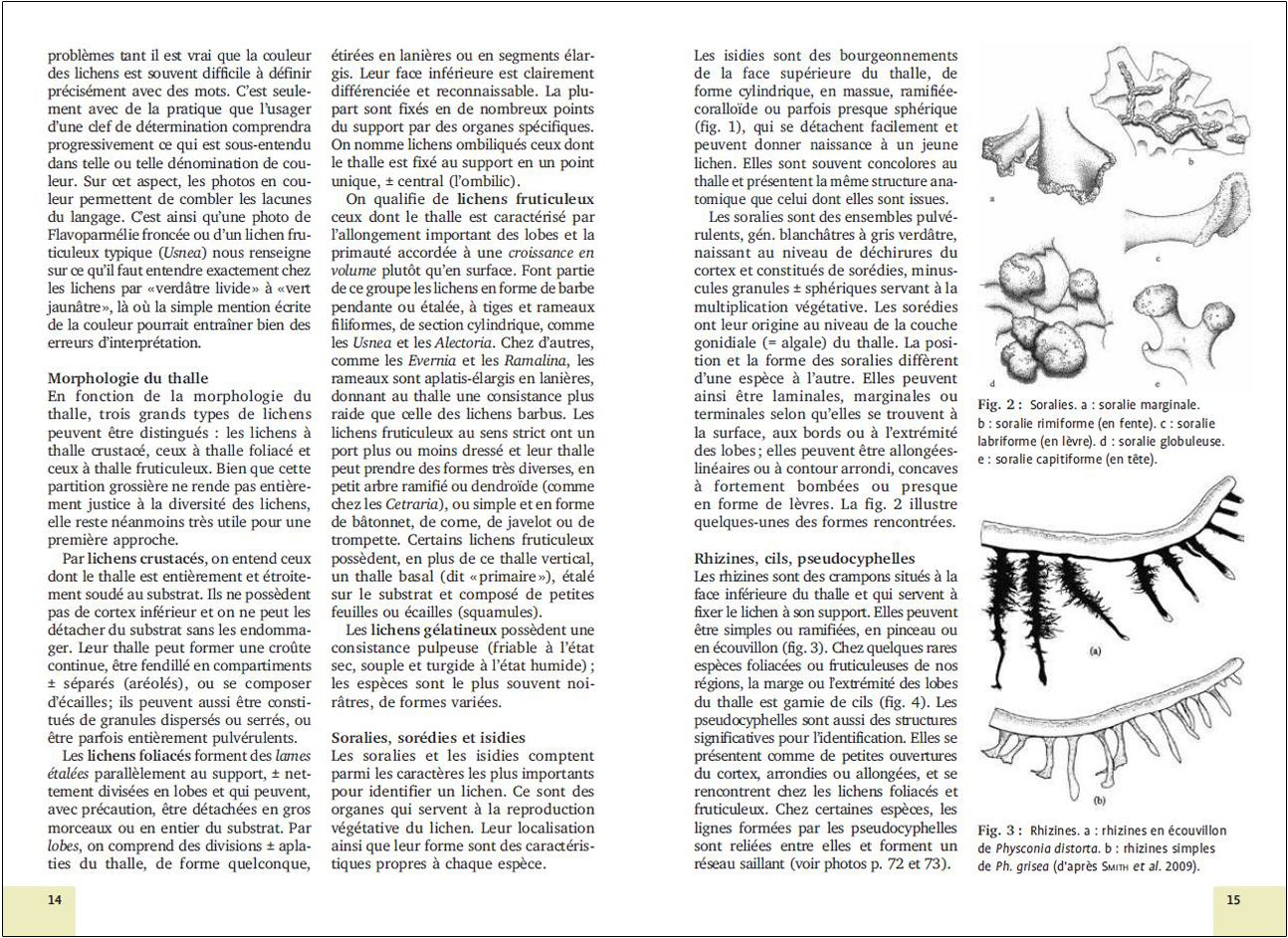 MOUSSES ET LICHENS. 290 ESPECES FACILES A IDENTIFIER 4