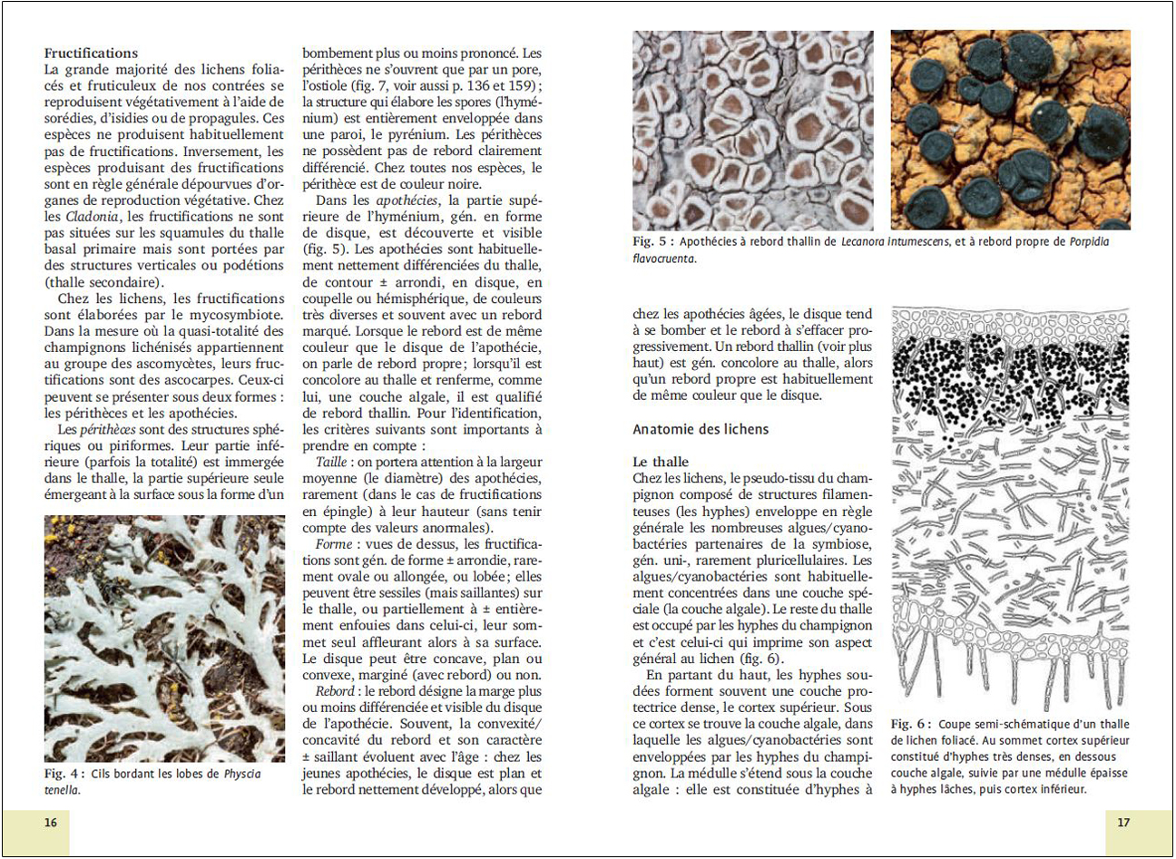 MOUSSES ET LICHENS. 290 ESPECES FACILES A IDENTIFIER 5