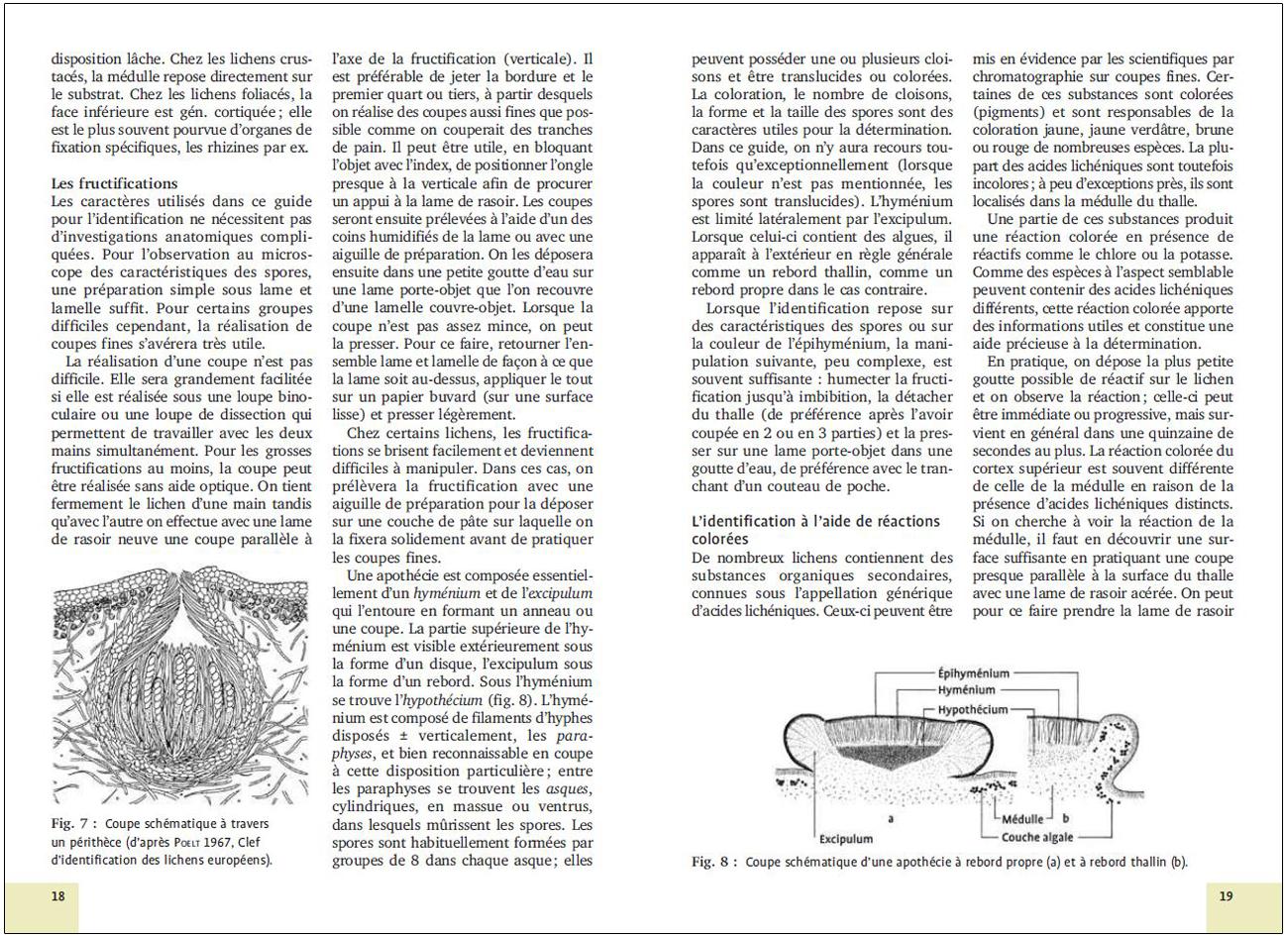 MOUSSES ET LICHENS. 290 ESPECES FACILES A IDENTIFIER 6