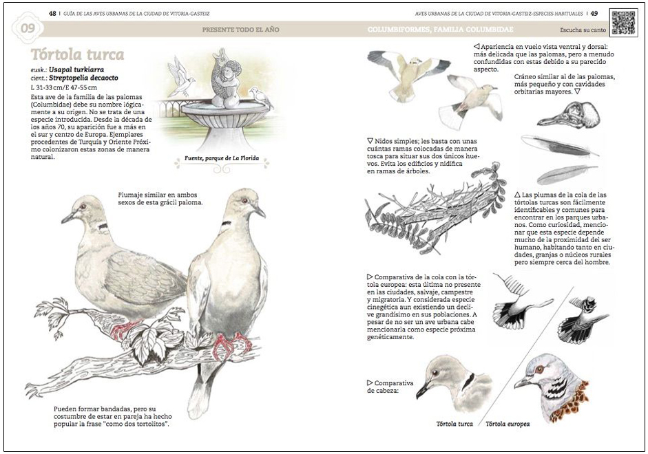 GUÍA DE AVES URBANAS DE LA CIUDAD DE VITORIA-GASTEIZ 3