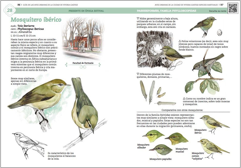 GUÍA DE AVES URBANAS DE LA CIUDAD DE VITORIA-GASTEIZ 4
