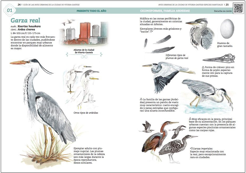 GUÍA DE AVES URBANAS DE LA CIUDAD DE VITORIA-GASTEIZ 5