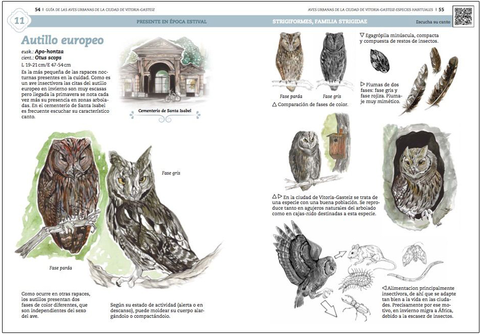 GUÍA DE AVES URBANAS DE LA CIUDAD DE VITORIA-GASTEIZ 6